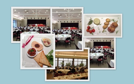 Gala 2014 (11)